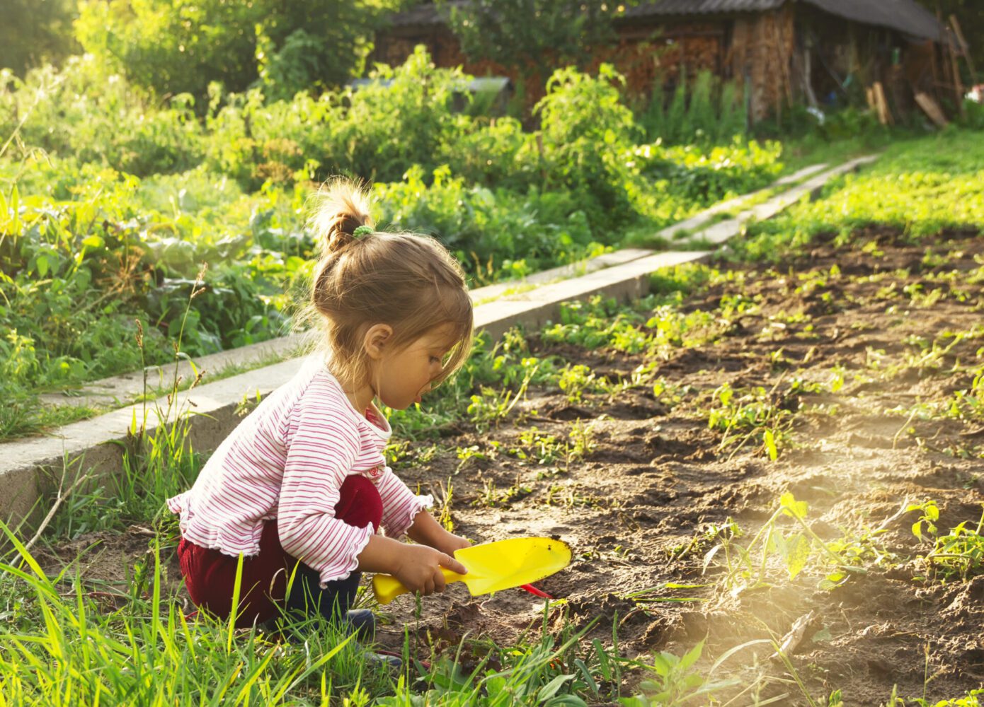  10 Ways to teach your child about sustainability by Goodhealth