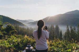 健康新西兰 - 茶与风景