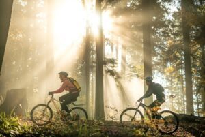 Good Health NZ - forest bike