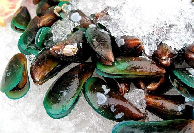 Oyster Pro Oil by Goodhealth