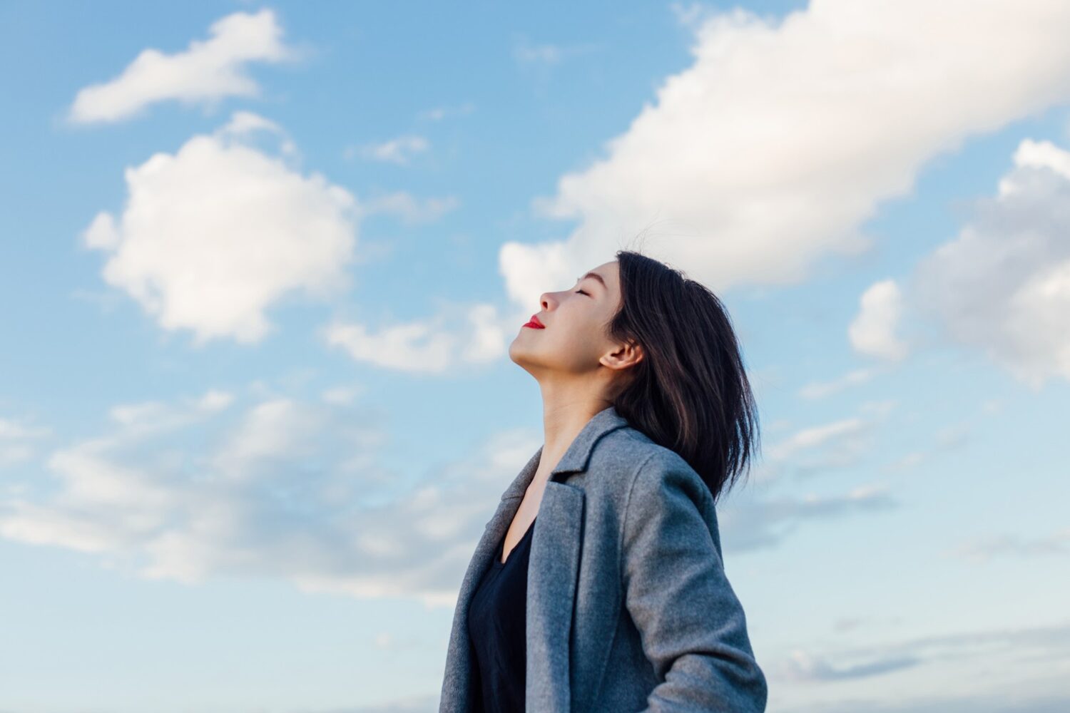 3 Natural Ingredients for Stress Support